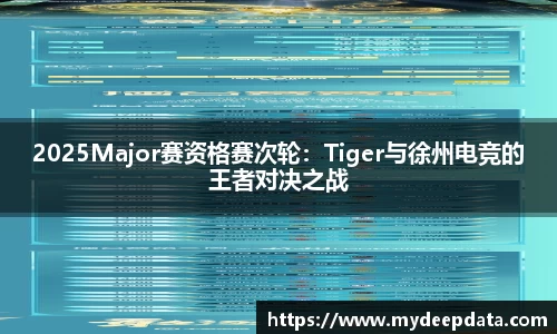 2025Major赛资格赛次轮：Tiger与徐州电竞的王者对决之战