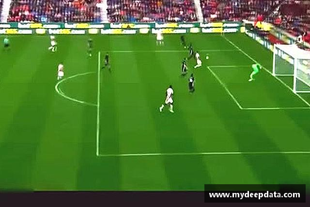 认识星空·综合体育